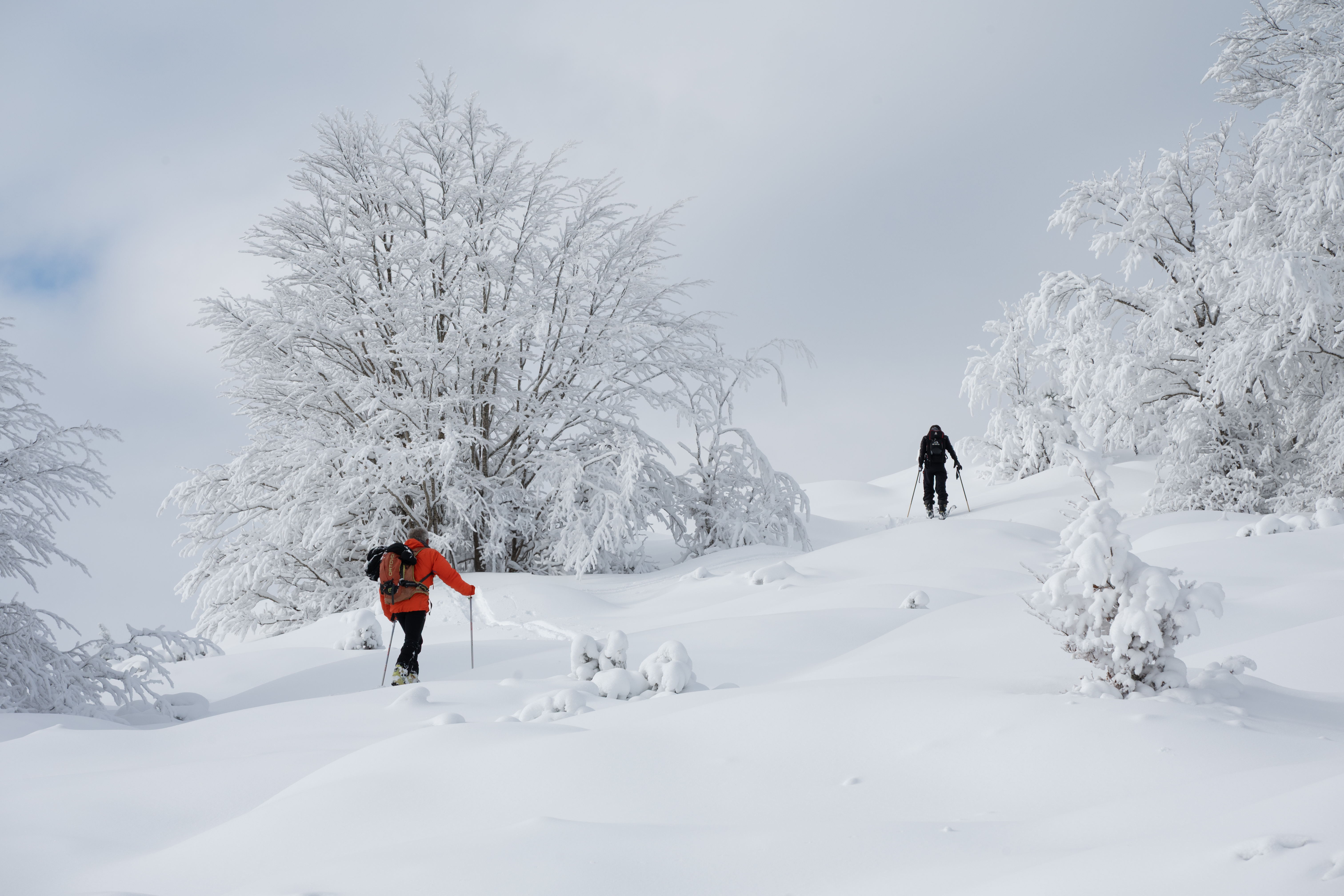 Neige Val d'Azun