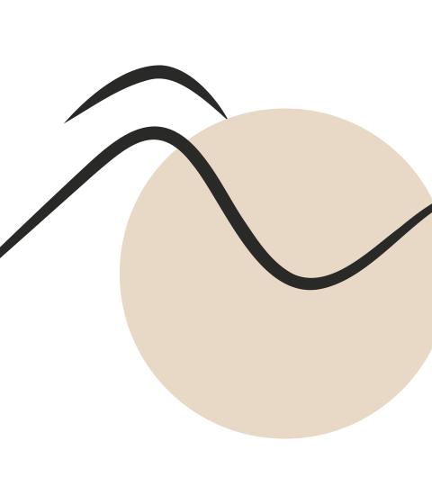 Icone logo